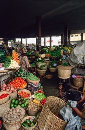Africa;-Aubergine;-Avocado;-Benin;-Carrot;-Cotonou;-Cucumber;-Former-market;-Ganhi-market;-Kaleidos;-Kaleidos-images;-La-parole-à-limage;-Market;-Stories-Pictures;-Tarek-Charara;-Vegetables;-West-Africa